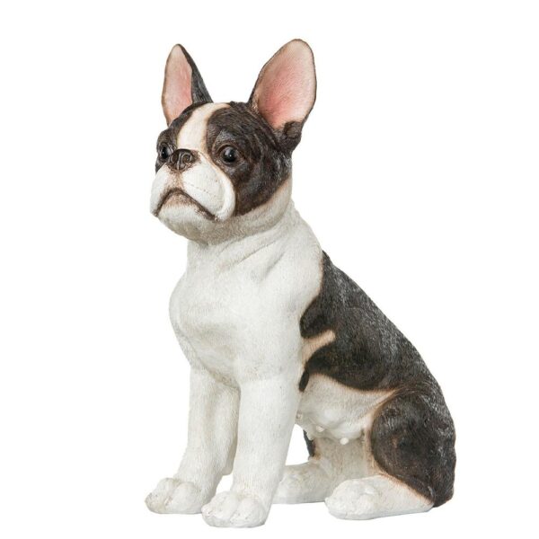 Hund Fransk Bulldog Poly